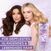 L'Oréal Paris Elvital feuchtigkeitsspendendes Shampoo für glänzendes und gesundes Haar,