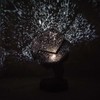 ScienceGeek Star Lamp Projector Fantasy Sky Map Projector Astrostar Cosmos