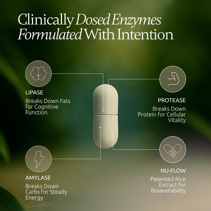 Boulder Bio Digestive Enzymes | 40,000 USP Lipase - Prescription