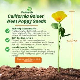 Outsidepride Golden West California Poppy Seeds - 10000 Pieces Annual, Drought Tolerant Eschscholzia Wildflower Seed w/Vibrant Yellow Blooms for Pollinator-Friendly Garden & Outdoor Landscapes