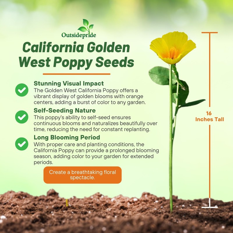 Outsidepride Golden West California Poppy Seeds - 10000 Pieces Annual,