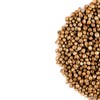 Coriander Seed Organic Gourmet Quality - Cilantro Seeds For Elevating