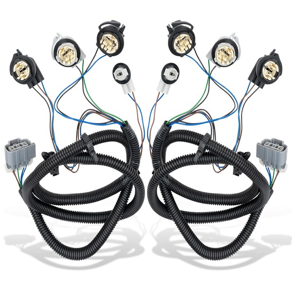 WEILEITE Left Driver and Right Passenger Side Tail Light Direct