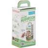 Back to the Roots Organic Oyster Mushroom Grow Kit, Harvest