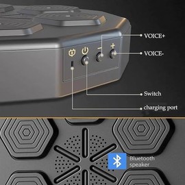 ZENSUKYE Máquina de Boxeo con Música Bluetooth Inteligente, Equipo de Boxeo de Música Montado En La Pared, con Guante De Boxeo