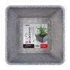 SUDO Mikage S-5603 Stumpet Small Square Bowl of Medaka
