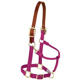 Weaver Leather Nylon Adjustable Breakaway Horse Halter, Yearling, Raspberry