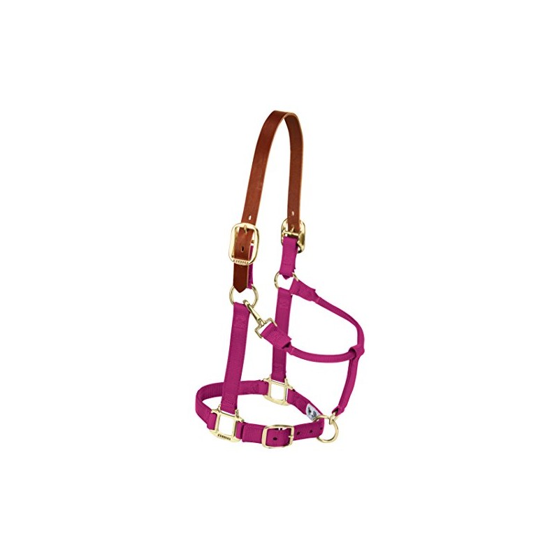 Weaver Leather Nylon Adjustable Breakaway Horse Halter, Yearling, Raspberry