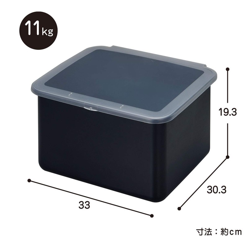 Belca Rice Jar, For Modular Kitchens, Rice Box