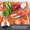 Zakarian by Dash 2 Piece Chef Grade German Steel Paring
