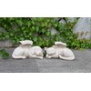 Napco 11144 Sleeping Angel Dog with Wings Garden Statue, 9.75