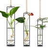MIPON Plant Propagation Stations,Hanging Glass Propagation Test Tube Vases for