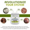 BiOptimizers Chocolicious Mushroom Breakthrough | Nootropic Supplement Blended Powder of