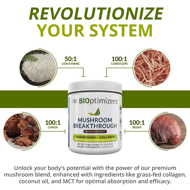 BiOptimizers Chocolicious Mushroom Breakthrough | Nootropic Supplement Blended Powder of