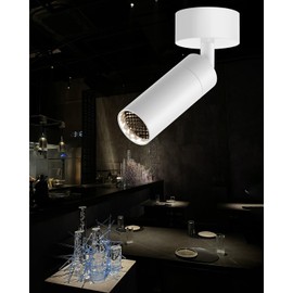 Gpaillumic Light Fixtures, Modern LED Ceiling Spotlight, 10W Zoom Track Spotlight, Adjustable Angle for Versatile Indoor Accent Lighting in Restaurant, Cafeterias, Corridors...