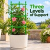 3-Tier Plant Support Rings for Potted Plants – 9-Piece Green