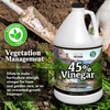 Nature's Freedom 45% Concentrated Vinegar, 2 Gallon - Dilutes to
