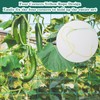 Trellis Net, 1.8 x 3.6 m Plant Net, Cucumber Net,