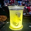 Unique Dinosaur in Glass Bottle Figurine - A Touch of