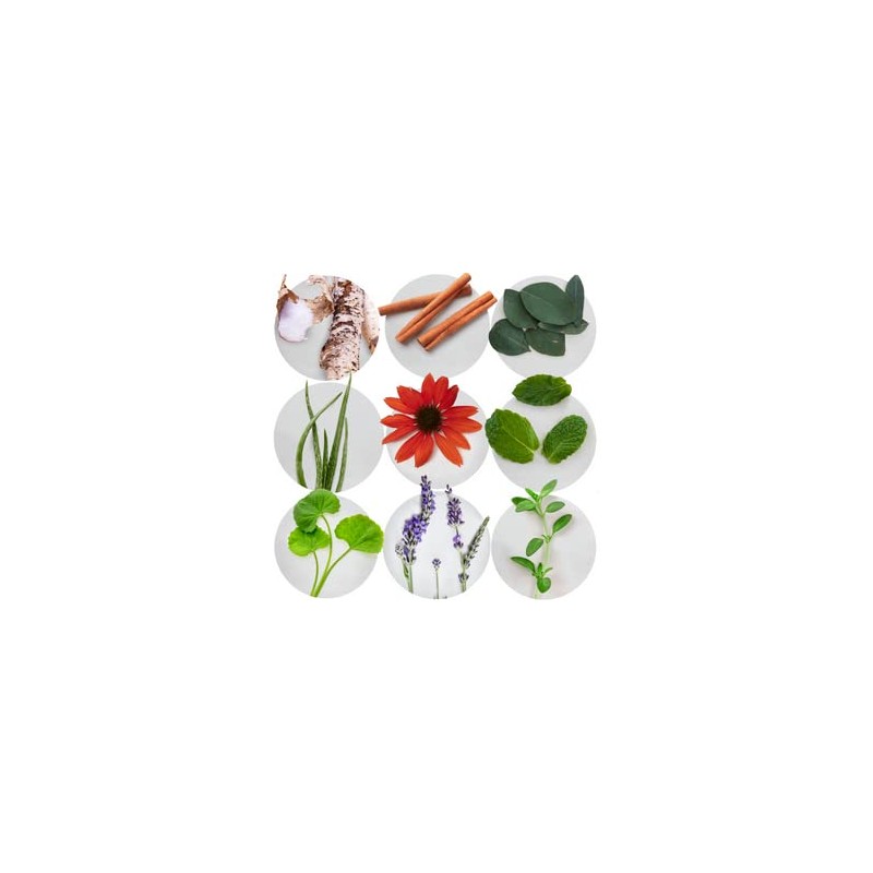 Dental Herb Company Dental Herb Company - Essentials Toothpaste (4
