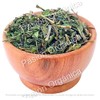 Pasión Orgánica - Té Infusión HIERBABUENA MENTA SPICATA Orgánica deshidratada