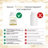 Cellufine® CelluSun with Nutroxsun® - 60 Vegan Capsules Optimised with