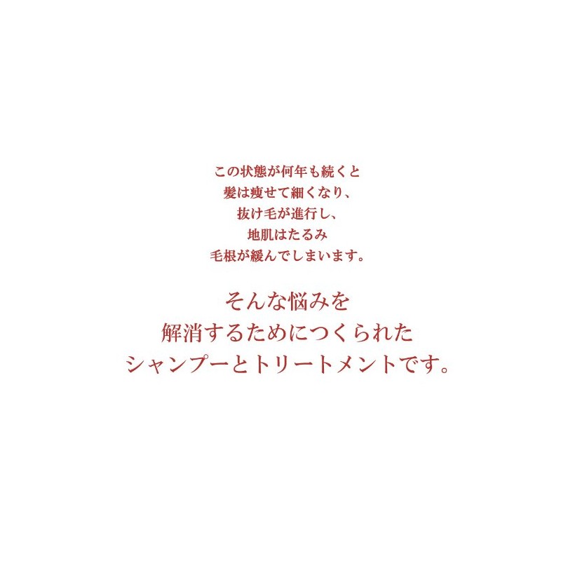 [onlee] onri-syanpu- II [, if Replacement] [nonsirikonsyanpu-]