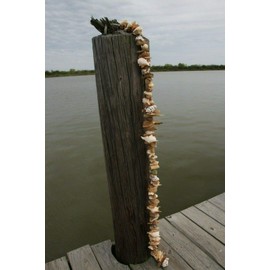 Salty Pelican Natural Handcrafted Driftwood Seashell Garland, 66" Long, Nordic Garland