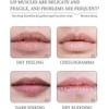 8PCS Mini Bálsamo de Labios y Máscara de Labios,Hidratante para