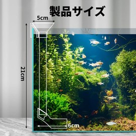 SensaBliss Fish Feeder Tube Set 1 Piece Medallion Bait Shrimp Bait Transparent Feeding Tray Fish Shrimp Feeding Tube Feeding Ring Bait Prevention Spread Prevention Water Pollution Prevention Bait Tank