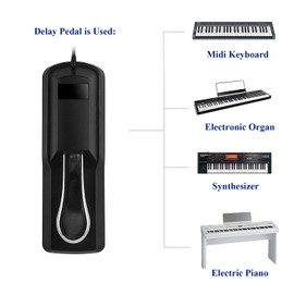 MaxLLTo Sustain Keyboard Foot Damper Pedal With Polarity Switch For Roland BK-3 / BK-5 / BK-7m / BK-9 / C-30 / C-200 / C-230 D-5 / D-10 / D-20 / D-50 / D-70 / DP-1 / DP-2 / DP-6 / DP-8 / DP-10, Silver