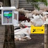 ATMOREA AC Powered Fence Charger LCD Display 2J Electric Fence