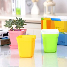 Anyumocz 24 Pack 3inch Multi Color Square Plastic Plant Pots,Seedling Nursery Transplanting Planter Container Indoor Outdoor for Your Room,Garden Office and Balcony Decor