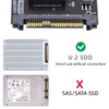 NFHK U.2 SFF-8639 Host to PCI-E Ruler 1U GEN-Z EDSFF