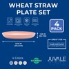 Wheat Straw Plate Set, Chip Resistant Plates (9 in, 4