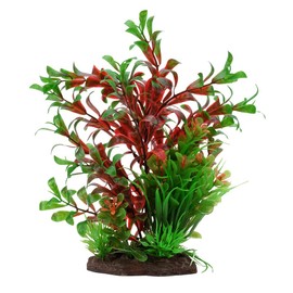 Fluval Aqualife Ludwigia and Dwarf Sagittarius Mix, Plastic Aquarium Plant Decoration