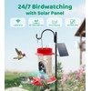 HIXX Smart Hummingbird Feeder with Camera Solar Powered, with Ant
