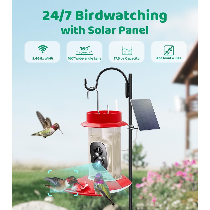 HIXX Smart Hummingbird Feeder with Camera Solar Powered, with Ant