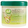 TCB Naturals Hair & Scalp Conditioner, Olive Oil, 10-Ounce Jars