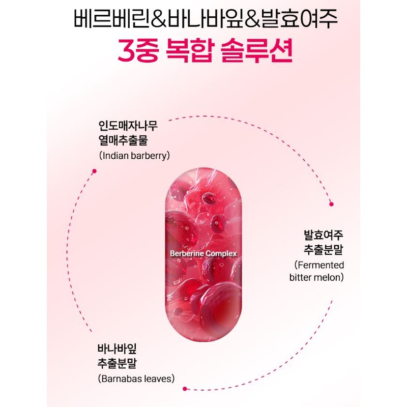 Newly Berberine Complex 600mgx60 tablets x 5 boxes / 뉴일리