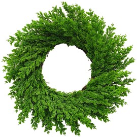 VDKIDKT Norfolk Pine Wreath, 20 inch Artificial Pine Wreath, Real Touch Norfolk Pine Wreath, Greenery Wreath for Front Door Lifelike Foliage (1PC)
