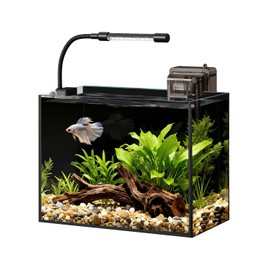 Glass Fish Tank Kit, 2.5 Gallon Betta Fish Tank Aquarium Starter Kit with Filter, Lights, Lid, for Betta, Goldfish, Small Fish or shrimg