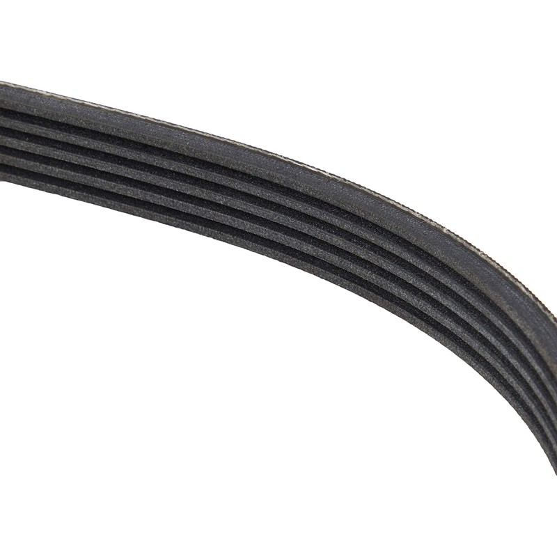 Contitech 5PK1207 Timing Belt