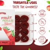 Fruit Roll Ups Healthy Snacks for Kids and Adults Vegan