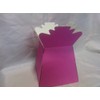 5 x Hot Pink Florist Aqua Boxes - Living Vases