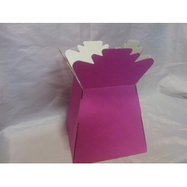 5 x Hot Pink Florist Aqua Boxes - Living Vases - Hand Tie Boxes