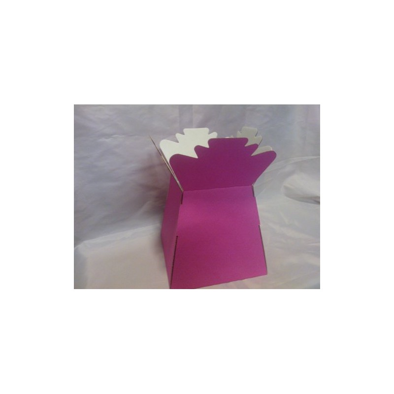 5 x Hot Pink Florist Aqua Boxes - Living Vases