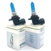 INION HIR2 9012 55 W 12 V Halogen Bulbs Blue