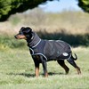 WeatherBeeta ComFiTec Ultra Cozi II Dog Coat Medium/Lite, Charcoal/Teal Blue/White,