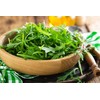 Arugula Seeds, 250+ Heirloom, Non GMO Seeds, Eruca Sativa.
